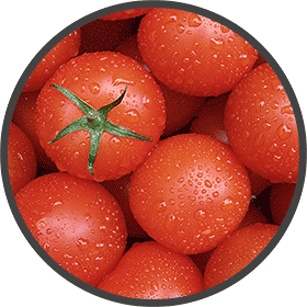 Tomaten